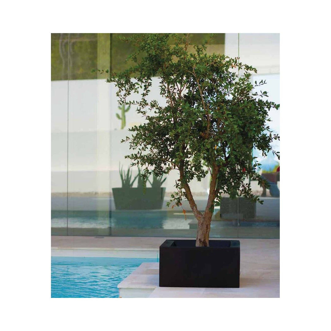 Ghiveci Land, Studio Vondom