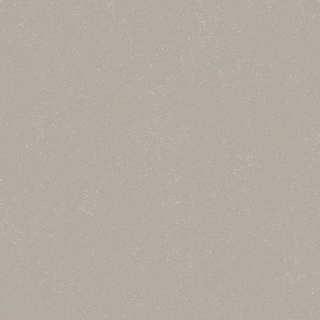 Gresie Cosmo Grigo Out 80x80x1 cm 4100853 41zero42