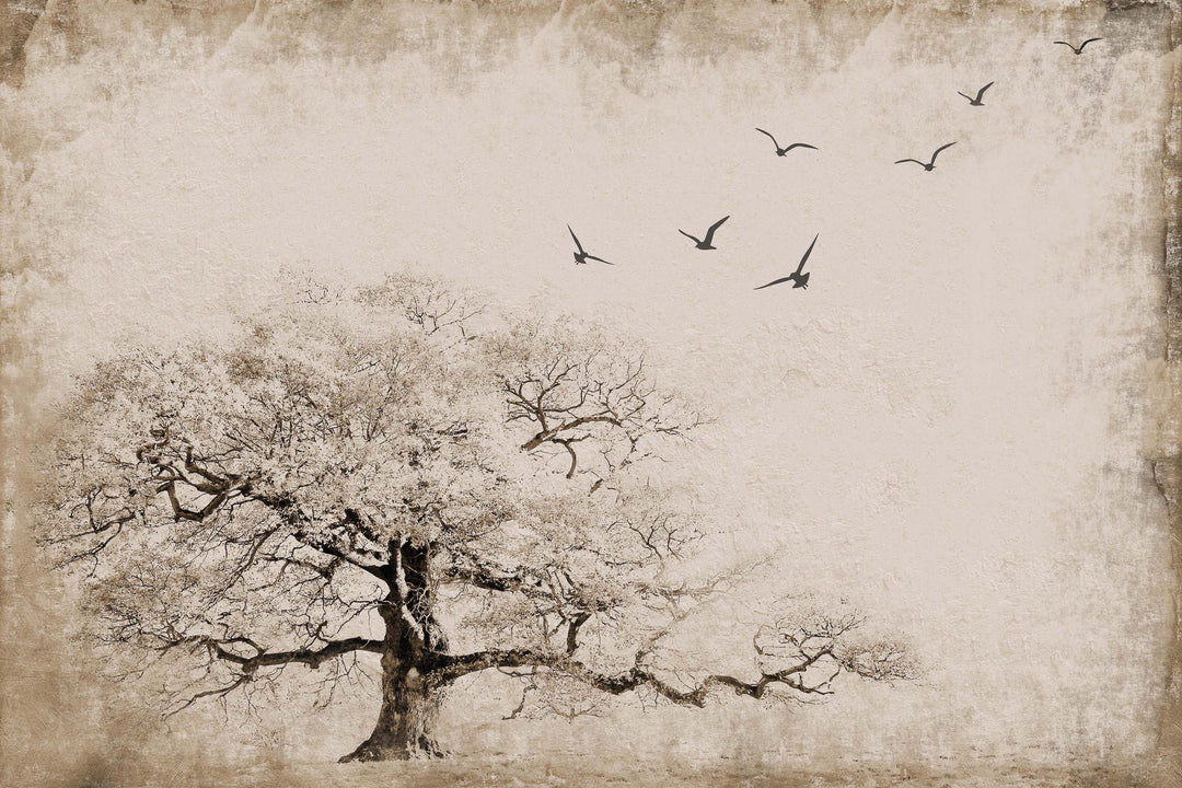 Tapet Arbre i la Pols 03, Instabilelab