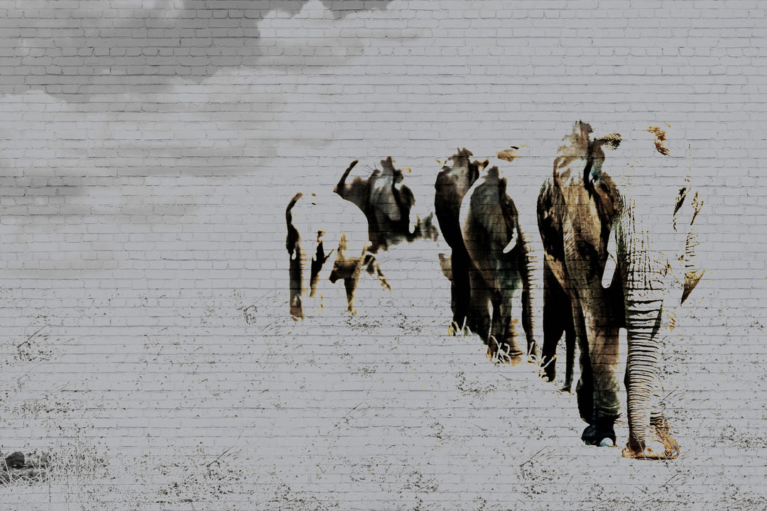 Tapet Elephant Posing 02, Instabilelab