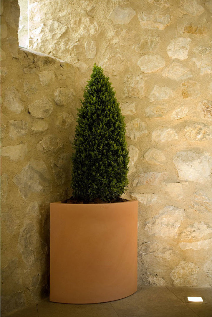 Ghiveci Angular, Studio Vondom