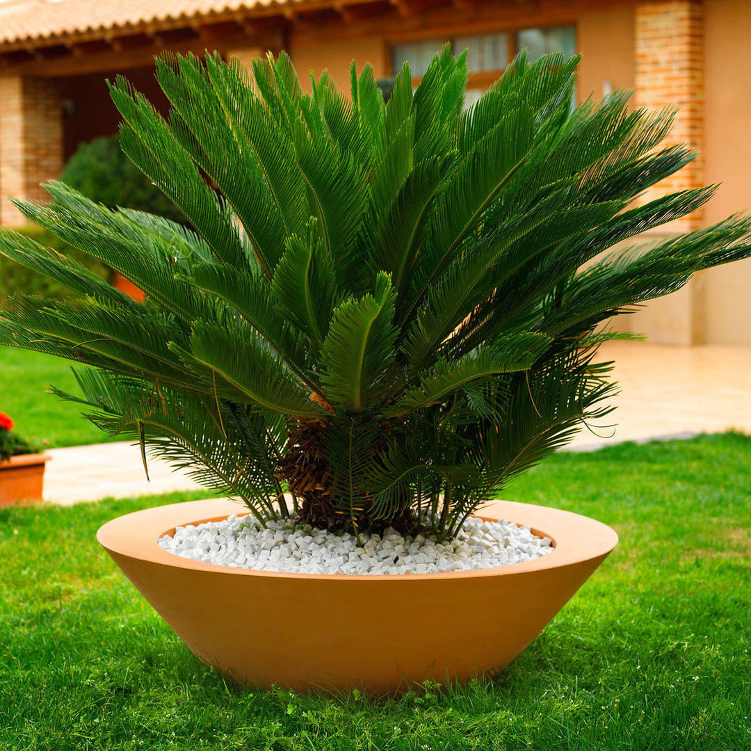 Ghiveci Centro 60cm, Studio Vondom