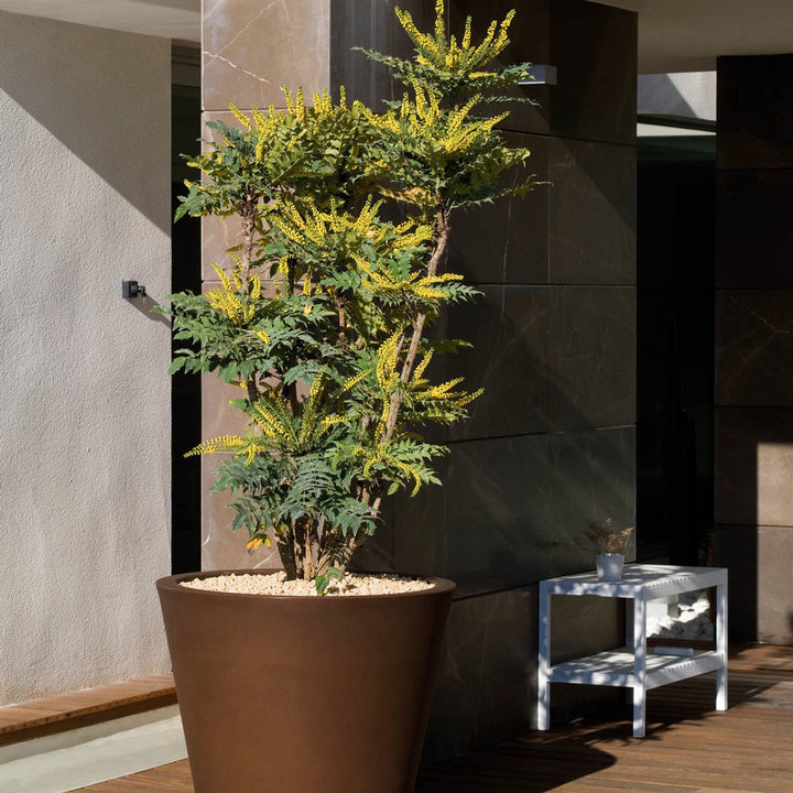 Ghiveci Cono 50cm, Studio Vondom