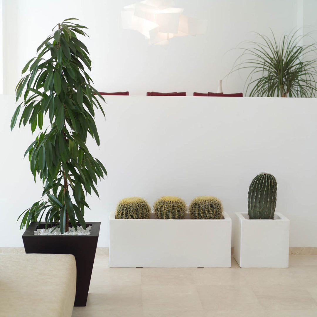 Ghiveci Cubo 60cm, Studio Vondom