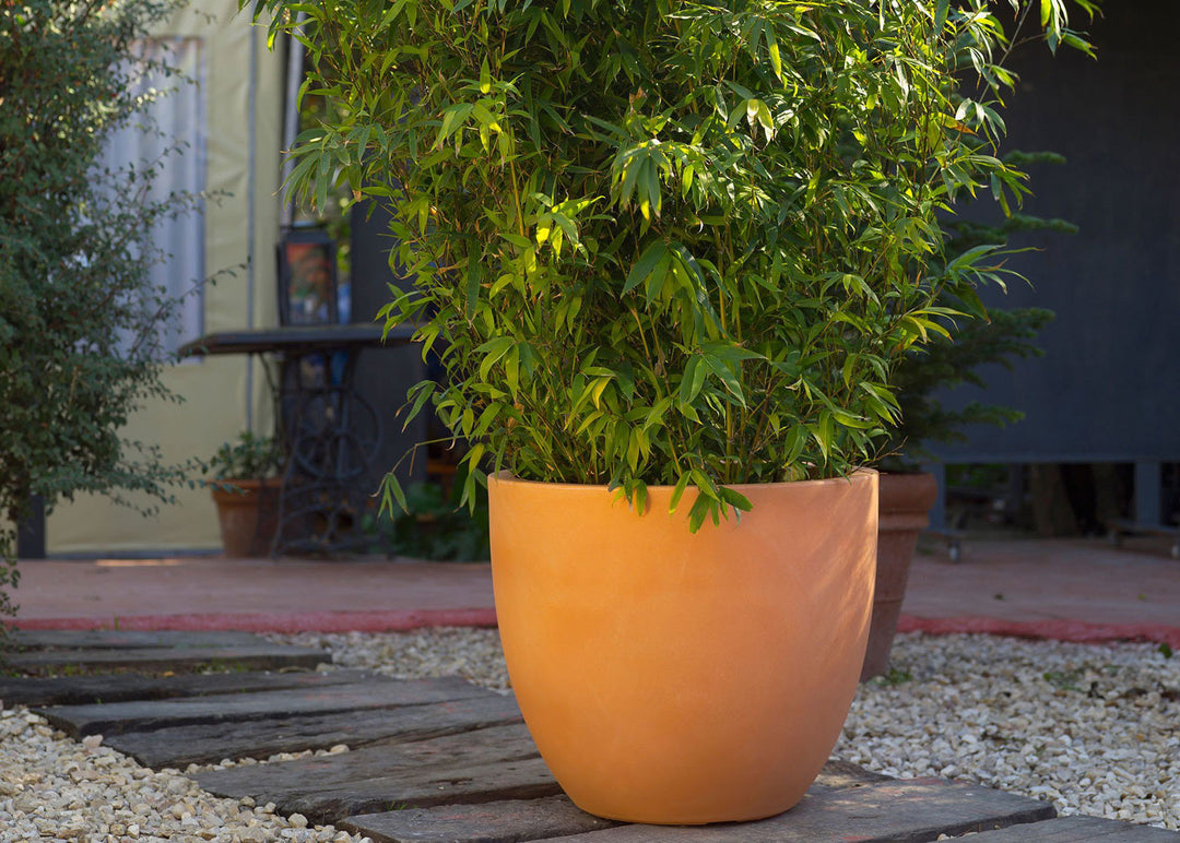 Ghiveci Cuenco 60cm, Studio Vondom