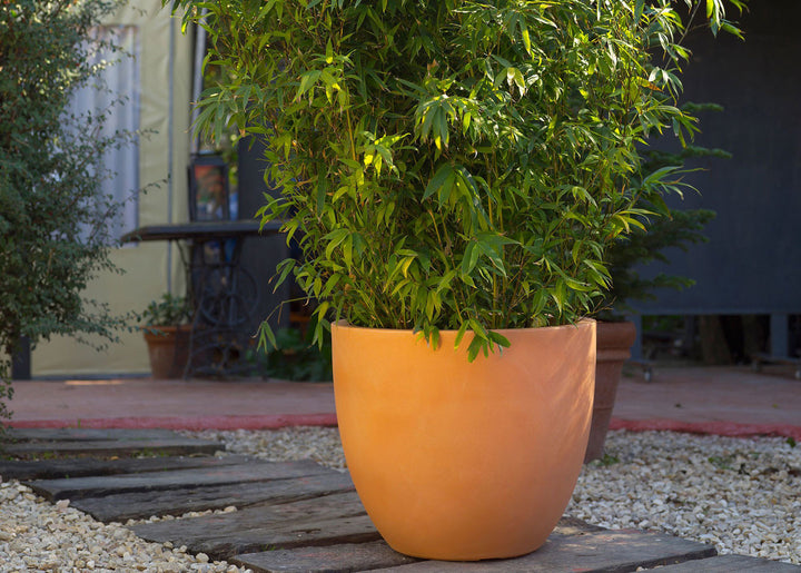 Ghiveci Cuenco 50cm, Studio Vondom