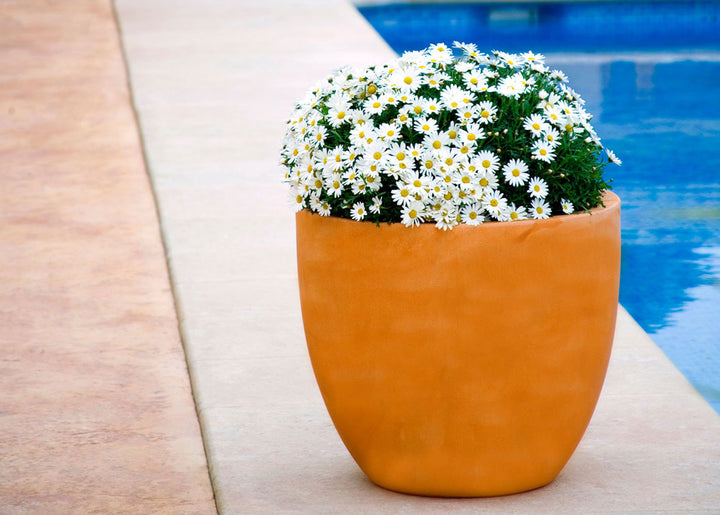 Ghiveci Cuenco 60cm, Studio Vondom