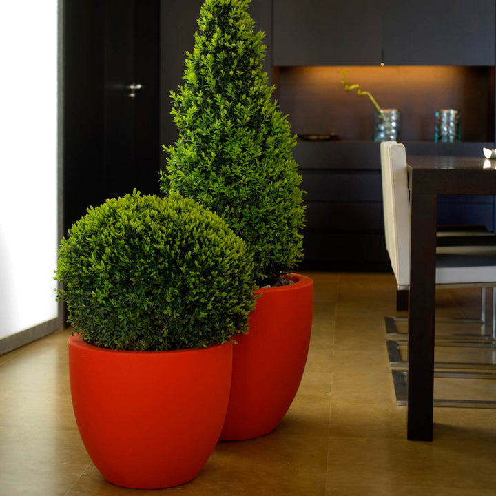 Ghiveci Cuenco 30cm, Studio Vondom