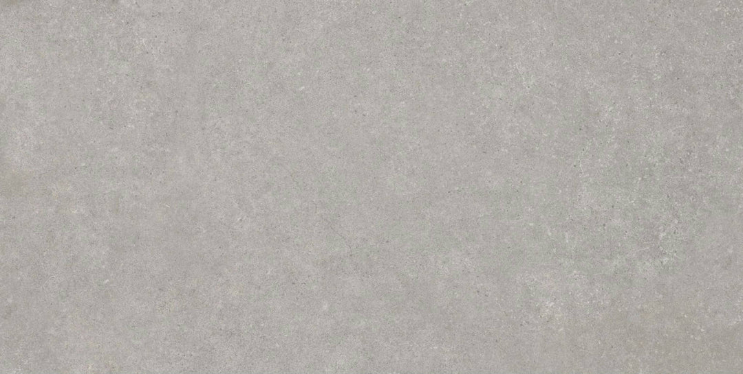Gresie Traffic Grey 33x66 cm PT03178 Codicer