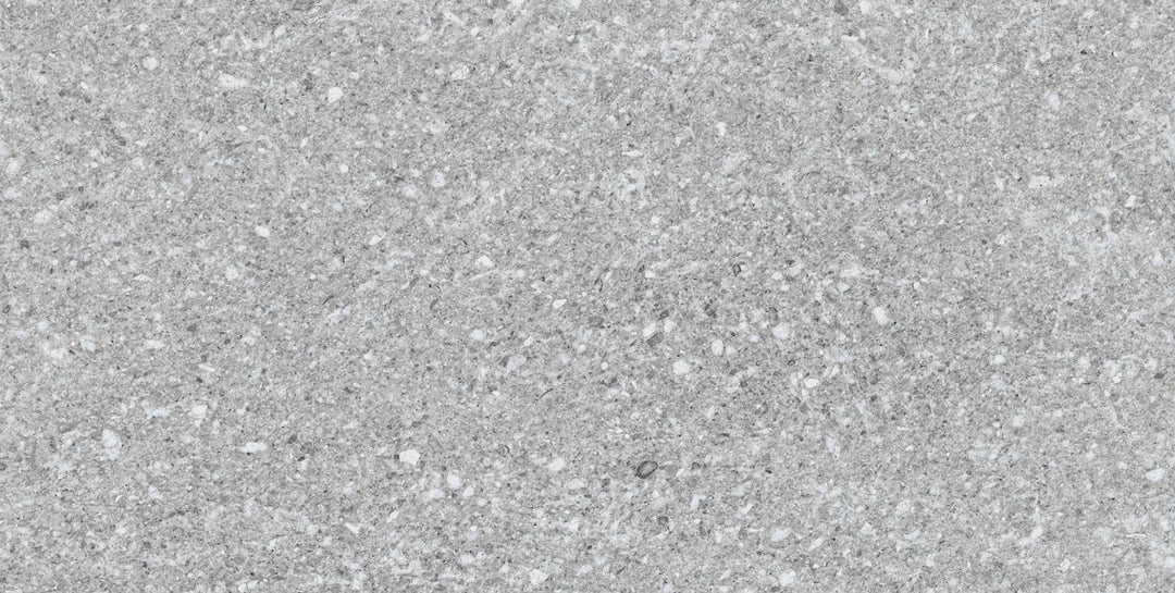 Gresie Vancouver Silver 33x66 cm PT05915 Codicer