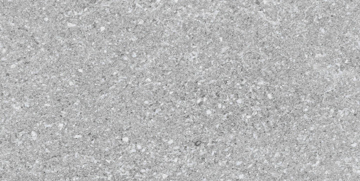 Gresie Vancouver Silver 33x66 cm PT05915 Codicer