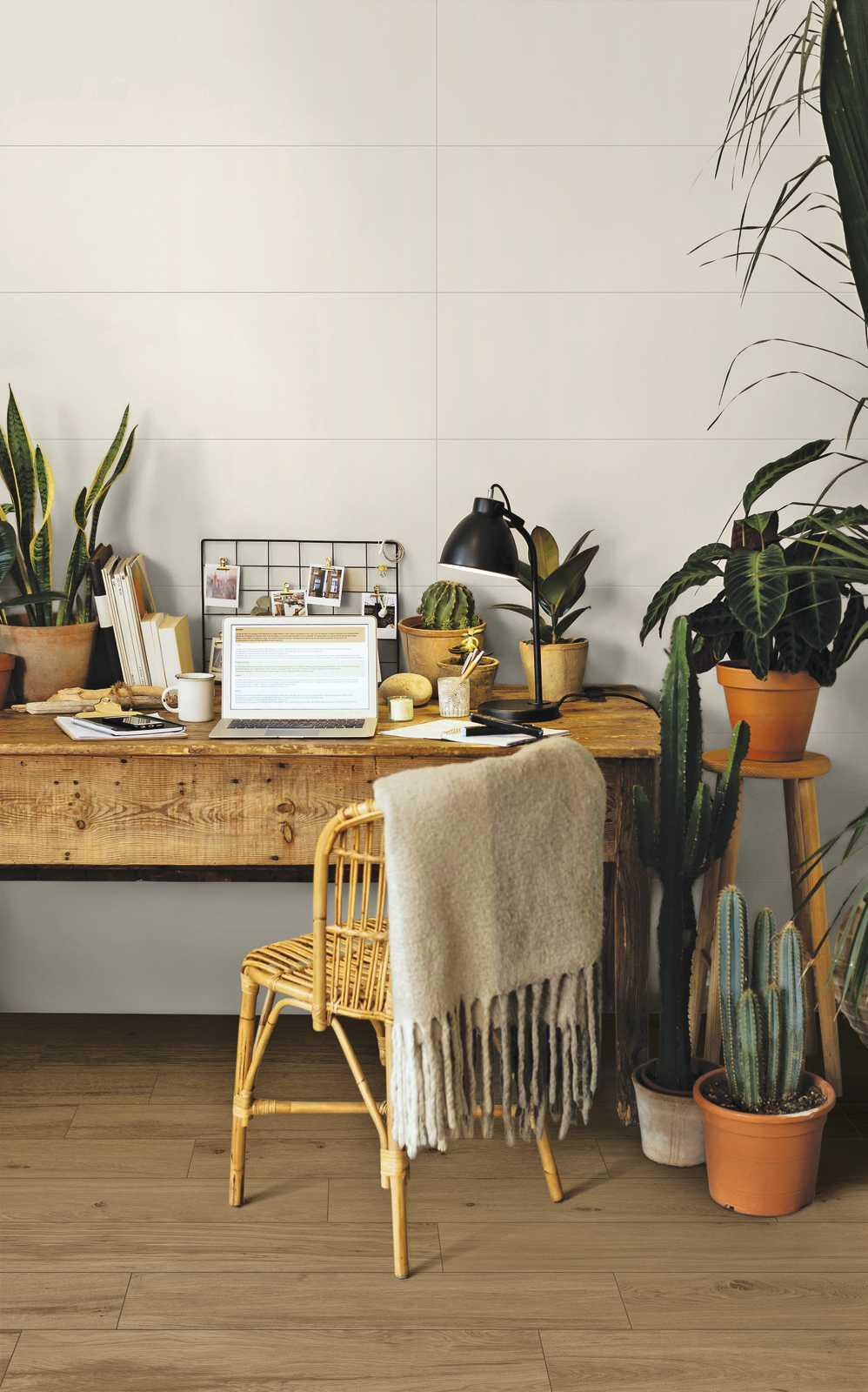 Gresie Woodclass Cherry Ragno