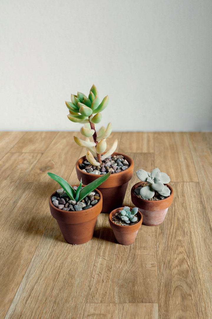 Gresie Woodglam Naturale Ragno