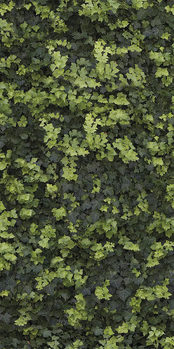 Gresie Helix 6mm, 120x240cm, Casalgrande Padana Limpha