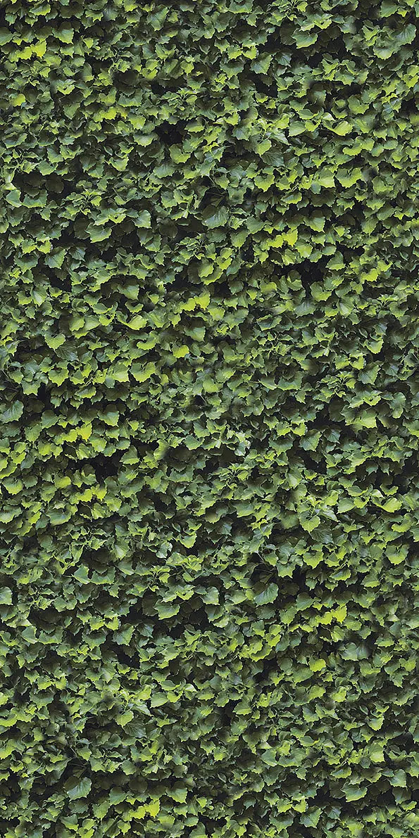 Gresie Arborea 6mm, 120x240cm, Casalgrande Padana Limpha