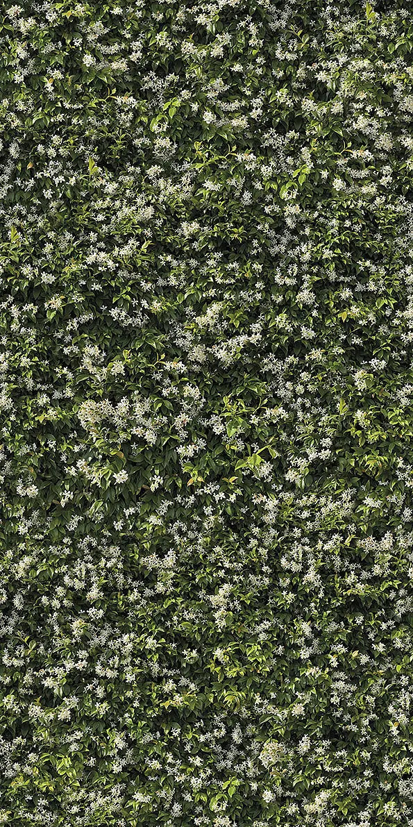 Gresie Gelsomino 6mm, 120x240cm, Casalgrande Padana Limpha