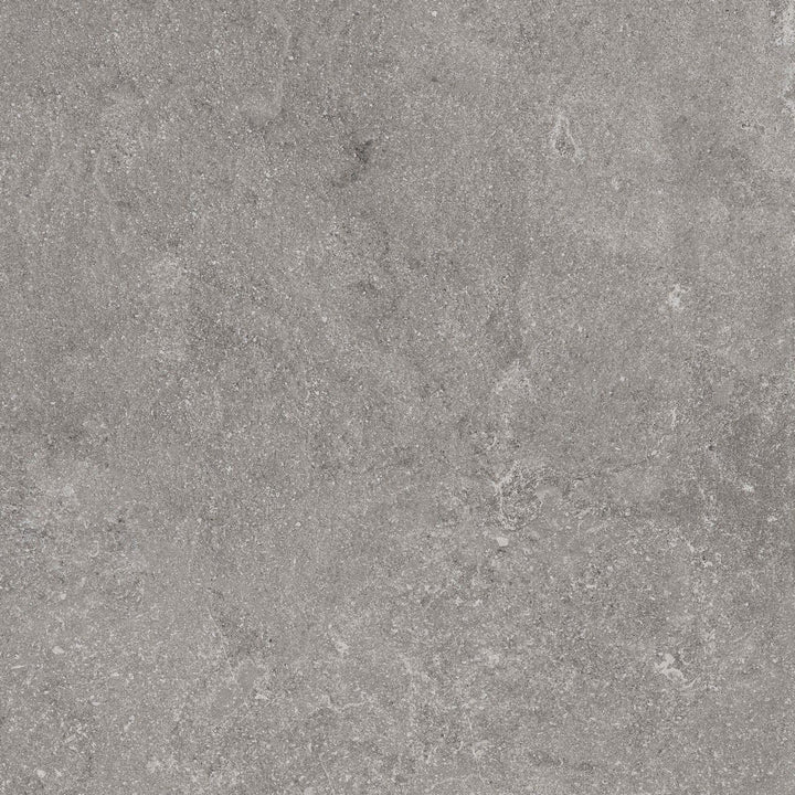 Gresie Realstone Lunar Silver Ragno