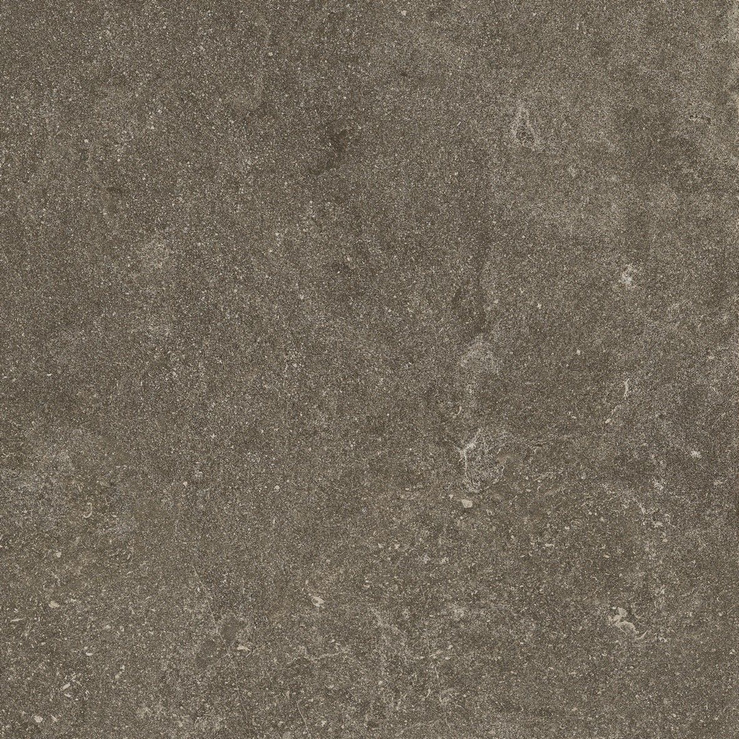 Gresie Realstone Lunar Uniform Ragno