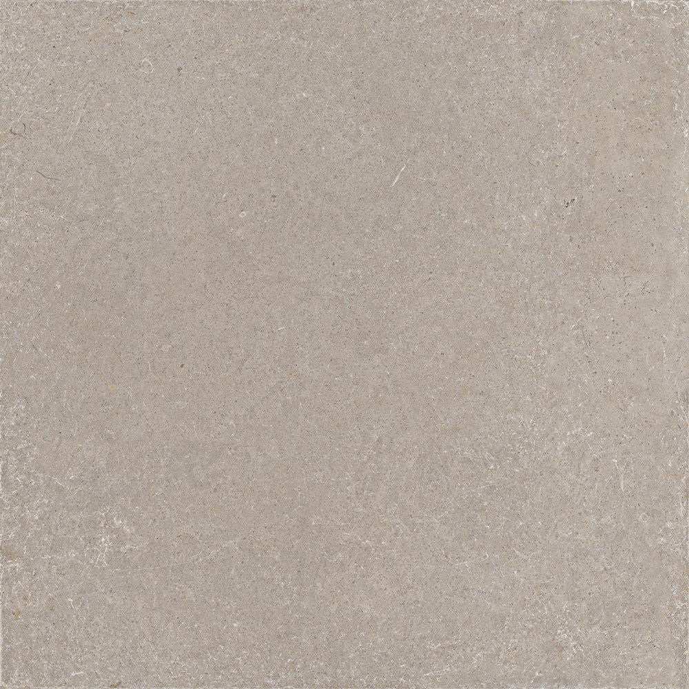 Gresie Realstone Rain Greige Ragno