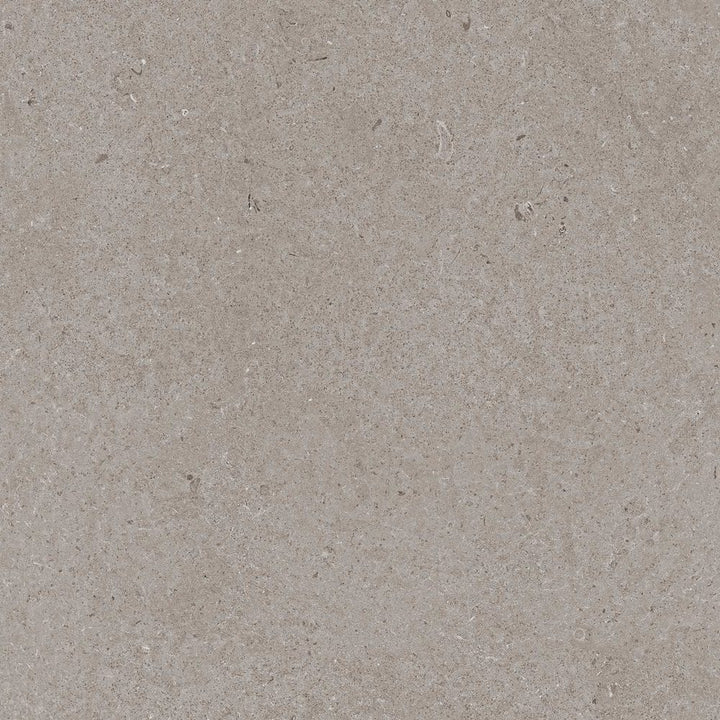 Gresie Realstone Rain Taupe Ragno