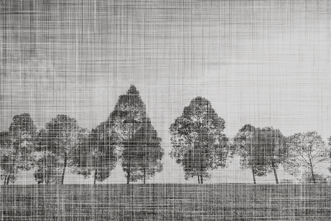 Tapet Linden Tree 02, Instabilelab