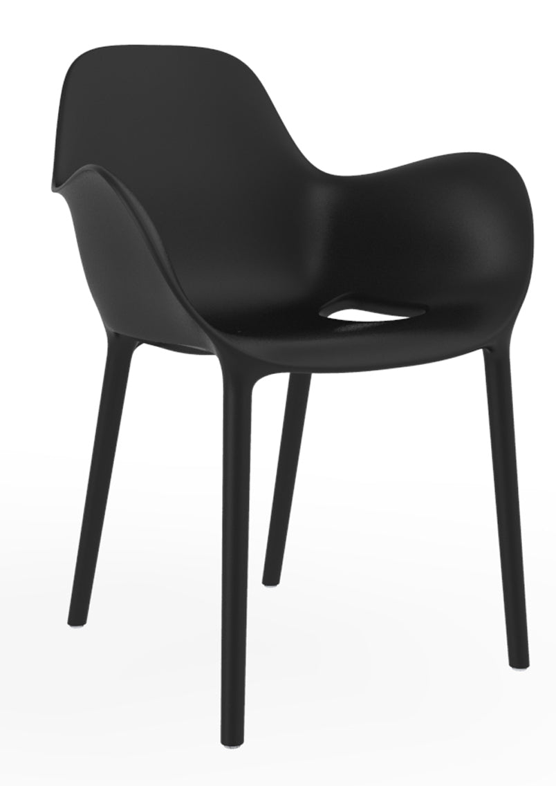 Scaun Sabinas Javier Mariscal, Vondom