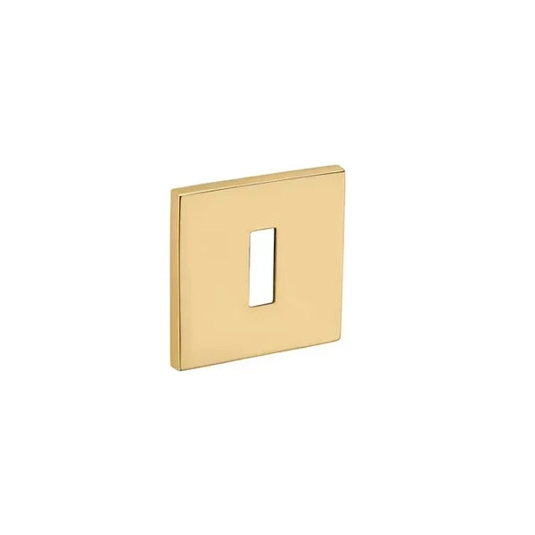 Maner usa auriu lucios, 4160 5SQ, Tupai