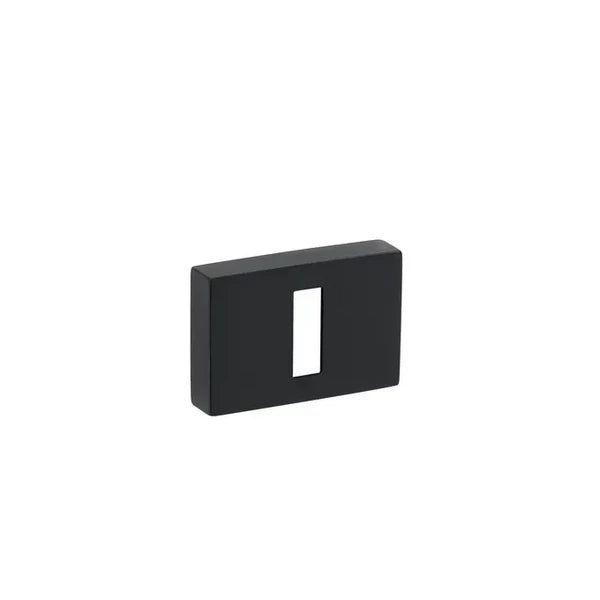 Maner usa negru, 4004 RE, Tupai