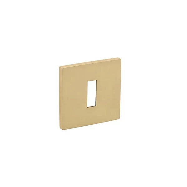 Maner usa auriu mat, 4002 5SQ, Tupai