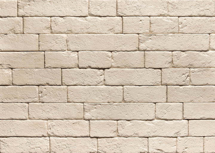 Piatra Decorativa Brickal 1 Gips (0.4mp), Stegu