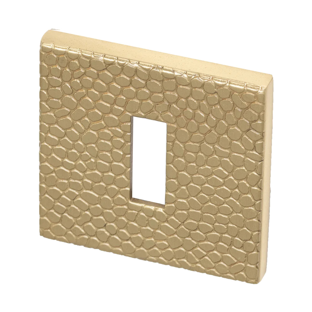Maner usa, alama lustruita 4161 5SQ T1, Tupai