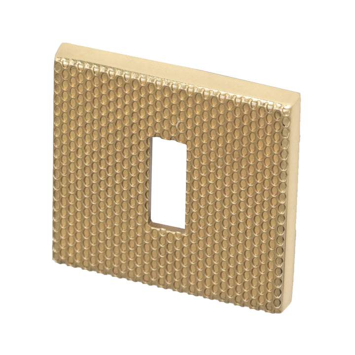 Maner usa, alama lustruita 4161 5SQ T2, Tupai