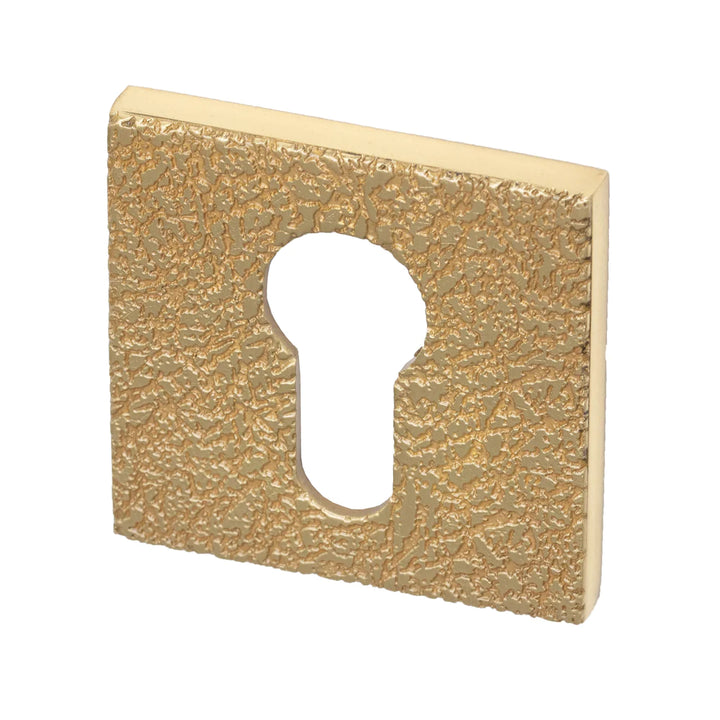 Maner usa, alama lustruita 4161 5SQ T3, Tupai