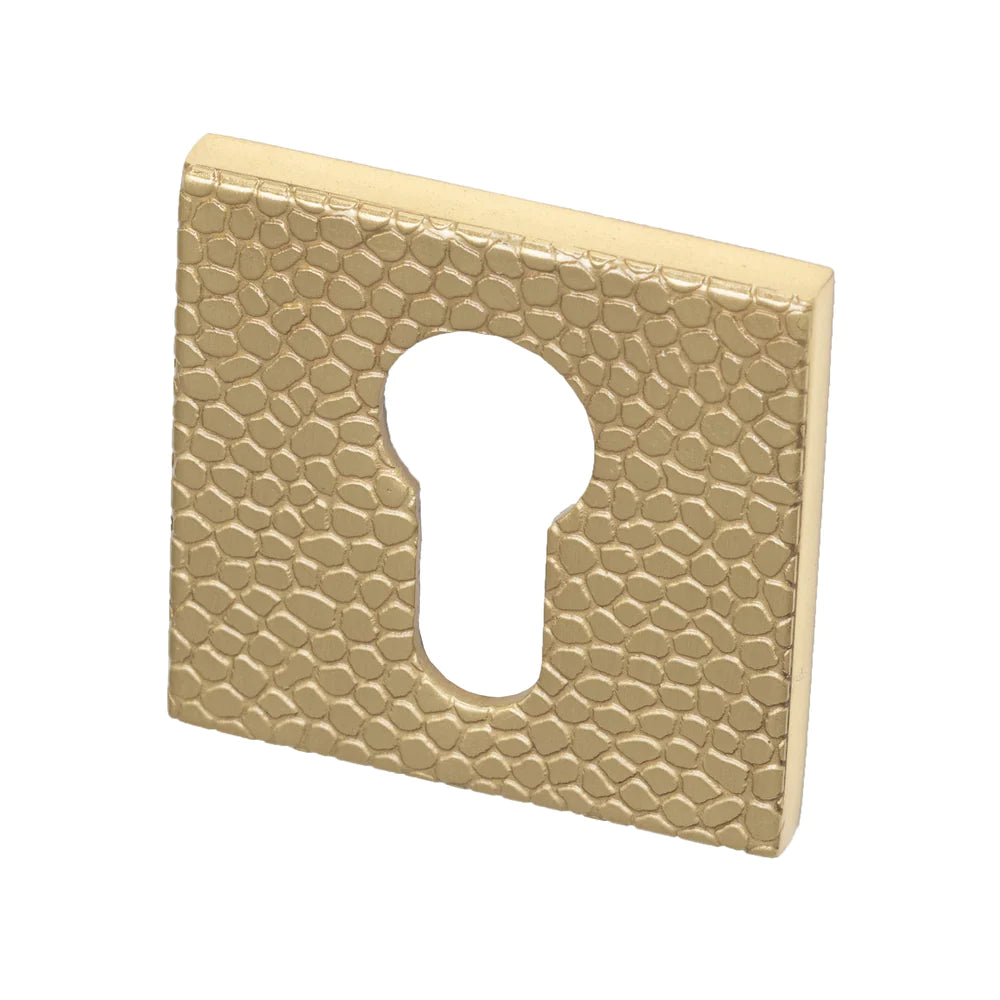 Maner usa, alama lustruita 4161 5SQ T1, Tupai