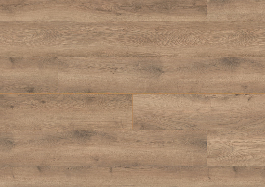 Parchet laminat, ter Hürne, Dureco Floor-Strong,Stejar Arousa,Long plank 12mm