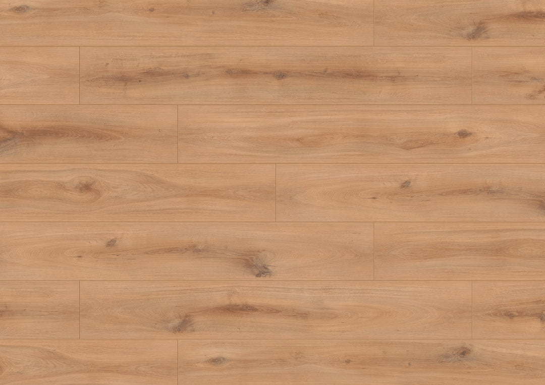 Parchet laminat, ter Hürne, Dureco Floor-Silent,Stejar Djerba, 7mm