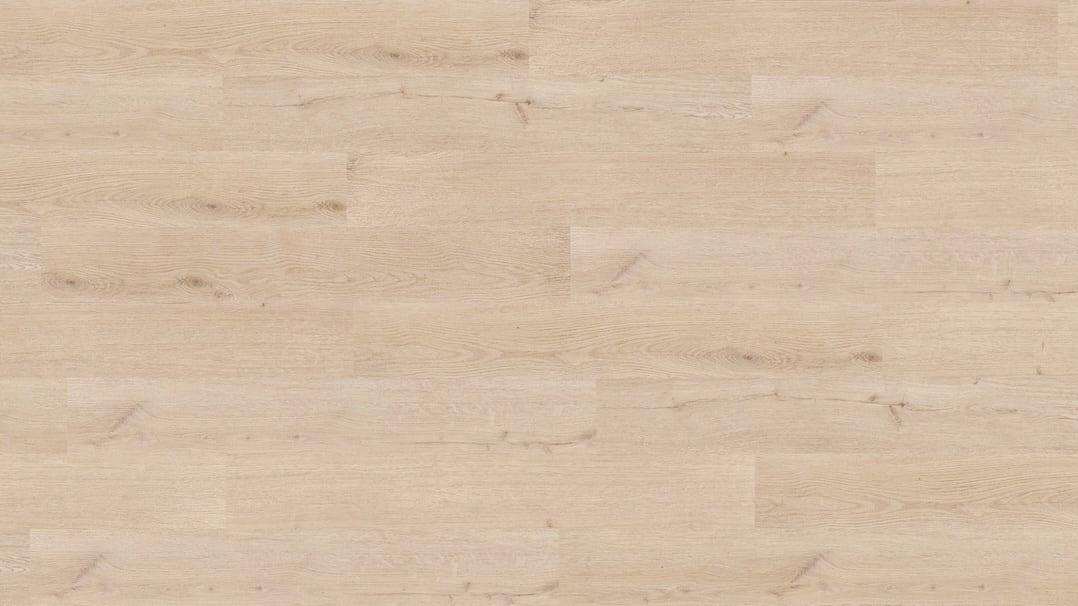 Parchet SPC,Classic Plank,Calamar,NF10240,5.5mm,Nomad Flo