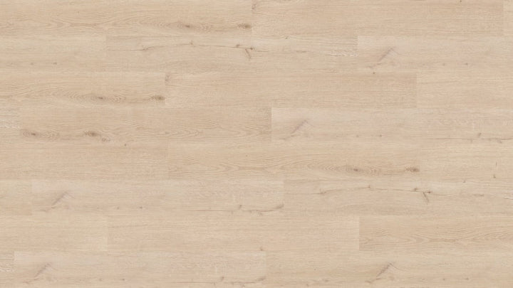 Parchet SPC,Classic Plank,Calamar,NF10240,5.5mm,Nomad Flo