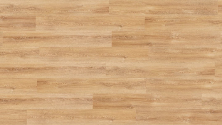 Parchet SPC,Classic Plank,Posadas,NF10243, 5.5mm,Nomad Flo