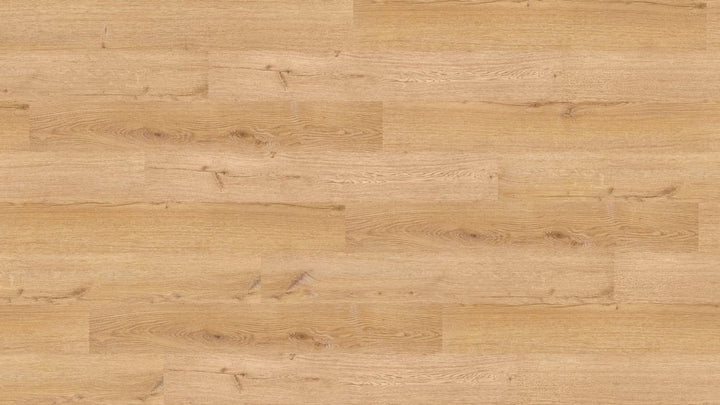 Parchet SPC,Classic Plank,Segovia,NF10241,5.5mm,Nomad Flo