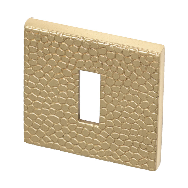 Maner usa, alama lustruita 4002 5SQ/T1, Tupai