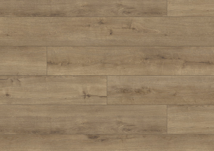 Parchet laminat, ter Hürne, Dureco Floor-Strong,Stejar Capri,Long plank 12mm