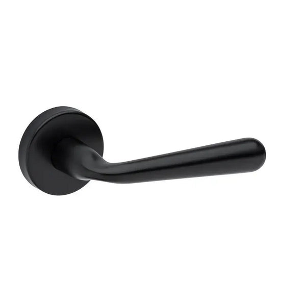 Maner usa negru, 293, Tupai