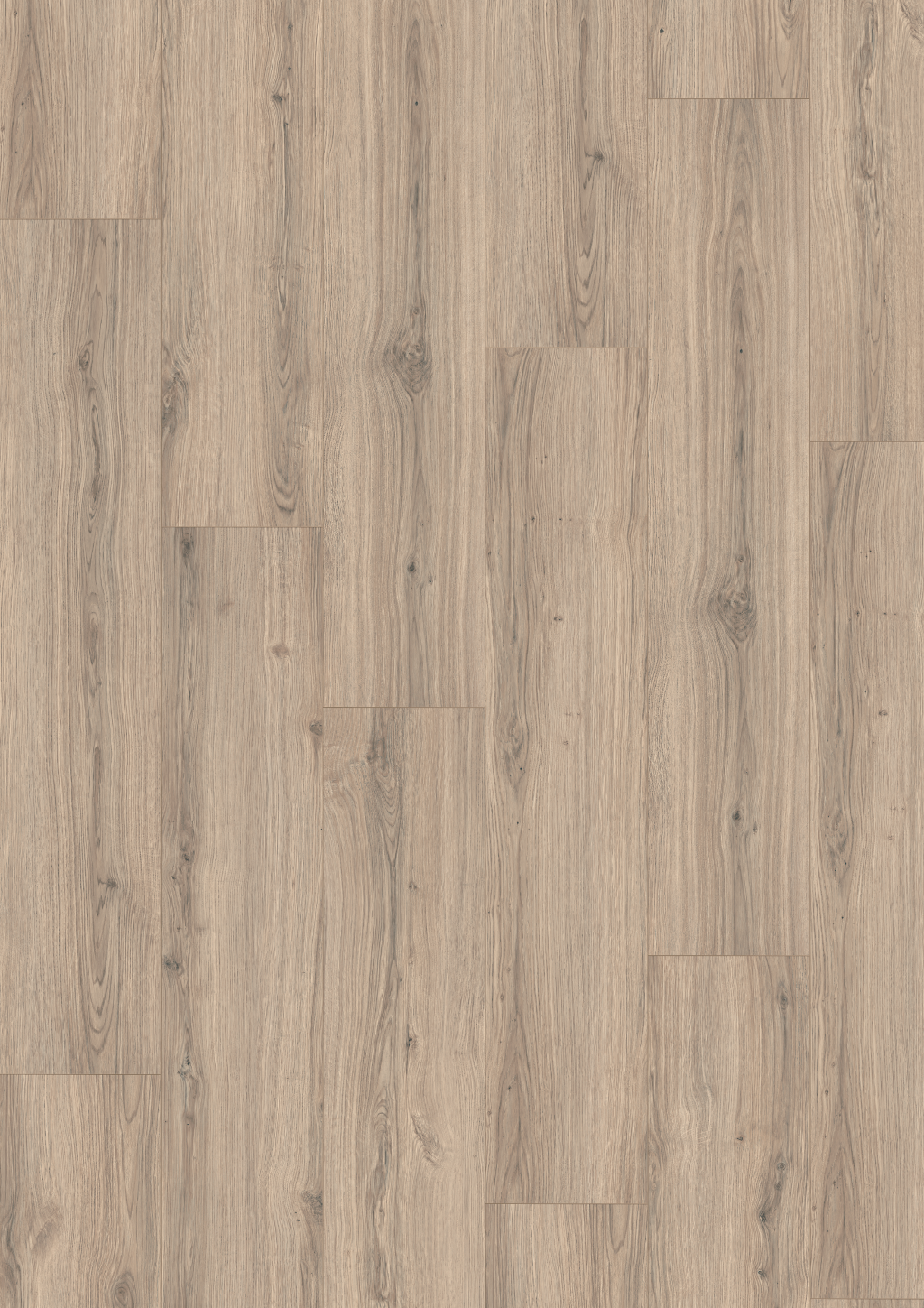 Parchet laminat EGGER EL2173 Padua Eiche grau 8 mm