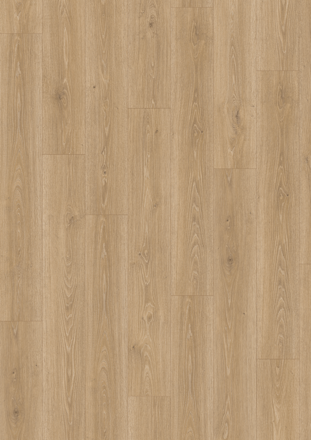 Parchet laminat EGGER EL2181 Treviso Eiche natur 10 mm
