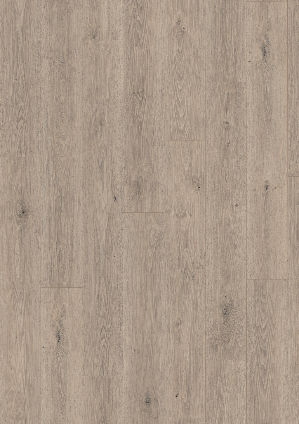 Parchet laminat EGGER EL2184 Stejar Treviso gri 8 mm