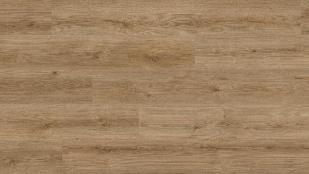 Parchet Laminat , Kaindl,Oak Evoke Trend K4421 ,Aqua Pro Select 12mm