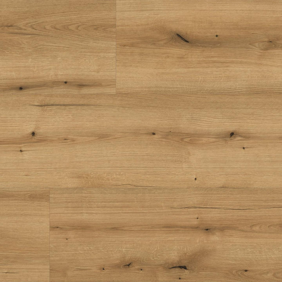 Parchet Laminat , Kaindl, Oak Evoke Coast K5573,Masterfloor 10mm