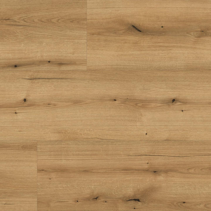 Parchet Laminat , Kaindl, Oak Evoke Coast K5573,Masterfloor 10mm
