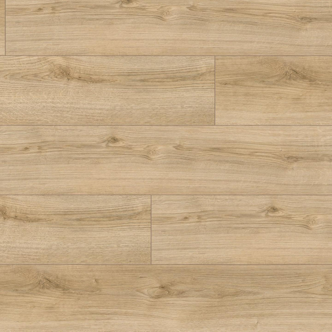 Parchet Laminat , Kaindl, Oak Evoke Delight K4419,Natural Touch 8mm